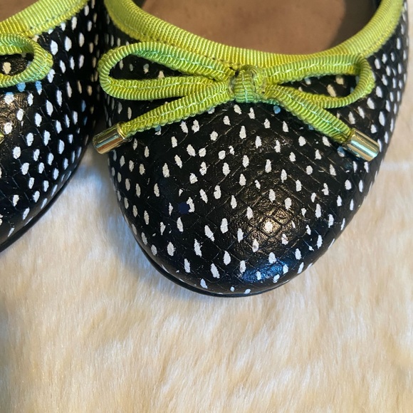 Shoes Elorie Black And White Ballet Flat Poshmark